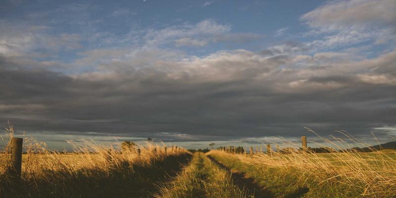 124XC63：一站式资讯与资源平台深度解析