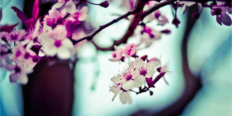 124XC78：数字时代必备工具与资源全解析