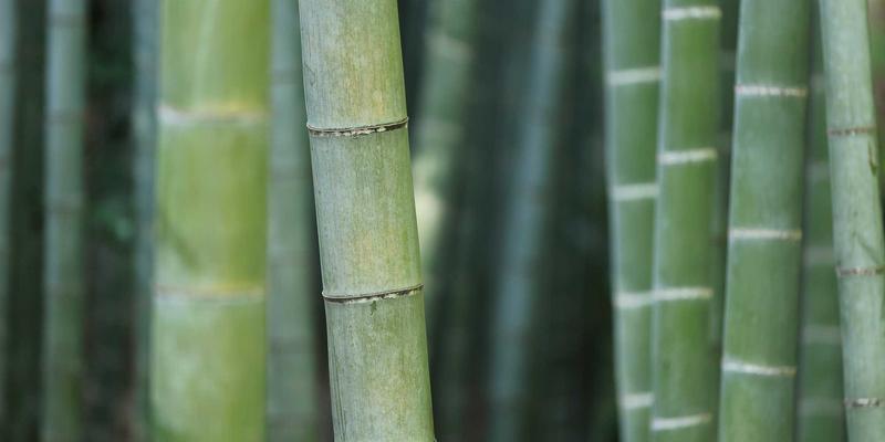 124XC87：蒸汽波文化的信息分享与资源下载指南