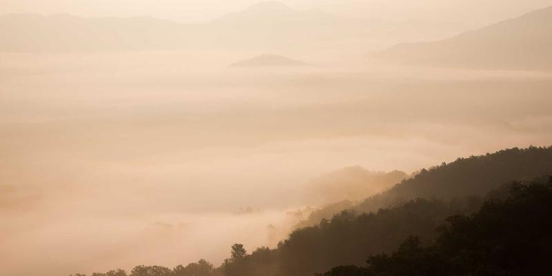 124XC93：构建数字资源与信息分享的综合平台新范式