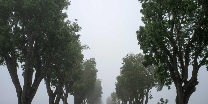 124XC使用全攻略：解锁资讯整合与高效信息分享的新工具