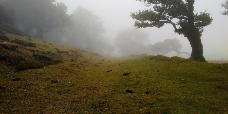 124XC系列产品在纺织机械同步控制中的高级应用与参数设置详解