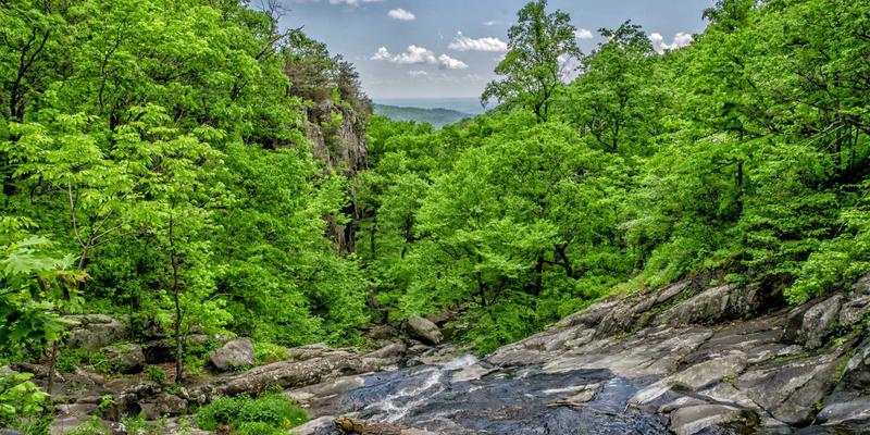 124XC系列产品选型指南：如何根据负载特性与工艺需求精准匹配变频器与伺服