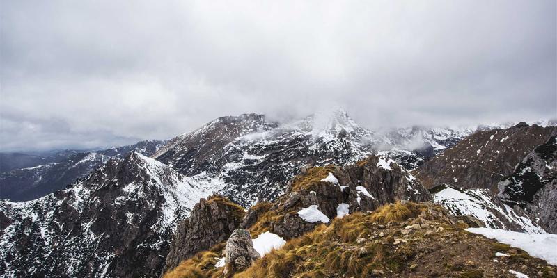 124XC系列伺服电机驱动自动化变革：应用案例与数字资源深度解析