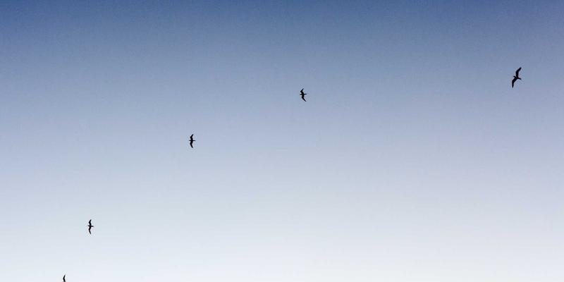 124XC系统在半导体封装设备中的高精度同步控制策略：资讯、工具与综合平台解析