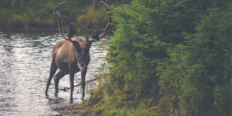124XC运动控制卡与机器视觉无缝集成实战：信息分享与资源下载指南