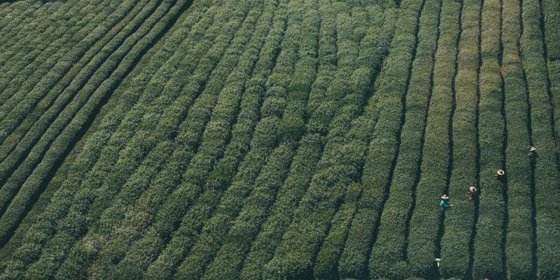 掌握飞剪/飞锯核心技术：如何利用124XC实现物料连续同步切割的全面指南