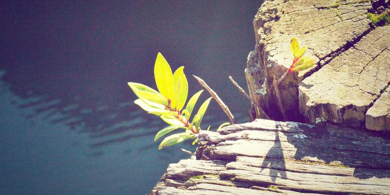 数字资源赋能：124XC综合平台如何优化纺织机械电子送经卷取张力控制