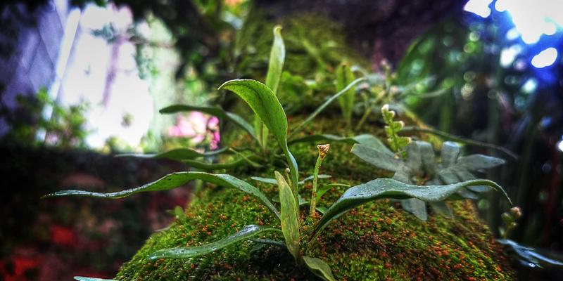 解锁印刷精度新高度：利用124XC内置工具实现智能套色同步与误差补偿